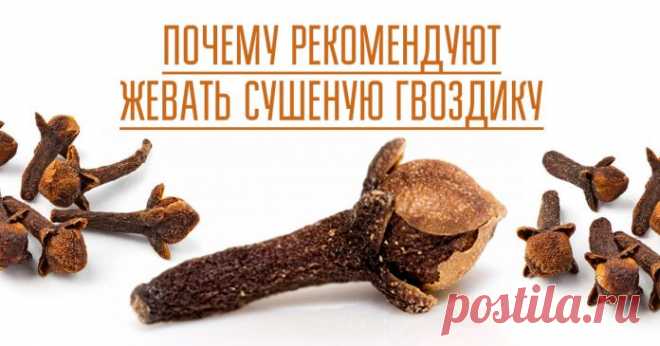 Почему рекомендуют жевать сушеную гвоздику А знаете ли вы, какими уникальными свойствами обладает эта пряность? В каждом доме на кухне стоит баночка с почками гвоздичного дерева. А знаем ли мы, что эта пряность включена в травяную фармакопею Британии? Известно ли нам, что душистая гвоздика входит в состав известного антипаразитарного...