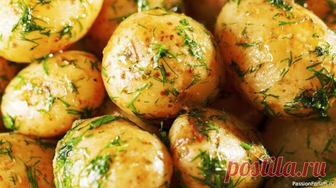 Если вы на диете, выключайте сразу! Жареная картошка - просто бомба рецепт! Если вы на диете, выключайте сразу! Картошечка - настоящее объедение, очень вкусно! Жареная картошка с чесноком и укропом.Ингредиенты:  Картофель - 500 г. Чеснок - 2 зубчика Тимьян (сушеный) - 2 веточки Вода - 1 л Укроп - 1 пучок Растительное масло - 30 мл Сливочное масло - 30 г.СМОТРИТЕ...