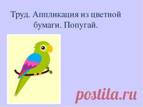 Презентация по труду на тему " Аппликация из цветной бумаги. Попугай."