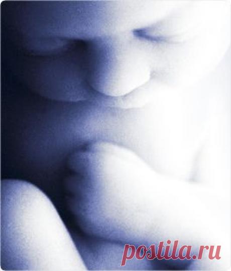 39 неделя беременности | Календарь беремнности | Все для мам - Карапуз.kz