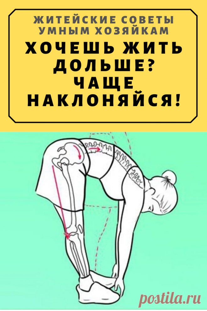 Хочешь жить дольше? Чаще наклоняйся! | Житейские Советы
