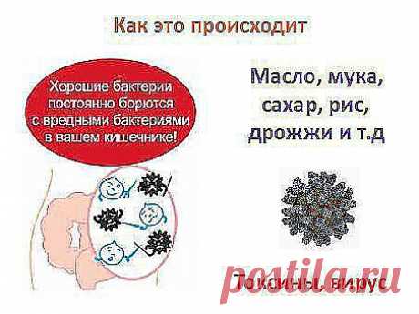 От куда берутся болезни? как это происходит?