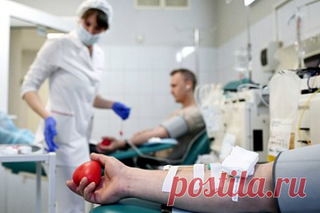 Врач развеял главные мифы о донорстве крови