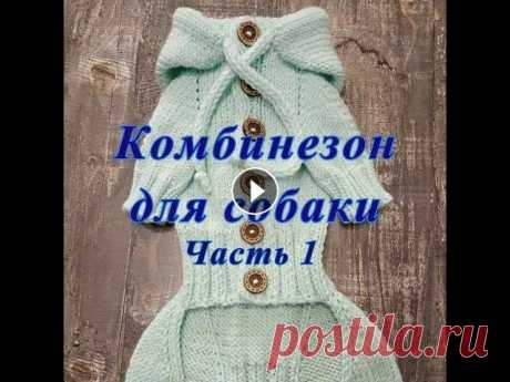 Комбинезон для собаки спицами, часть 1, Dog clothes Как связать комбинезон для собаки спицами, часть 1, с застежкой на пузике и с капюшоном. В этой части мы рассчитаем и свяжем реглан. Часть 2 для мальч...