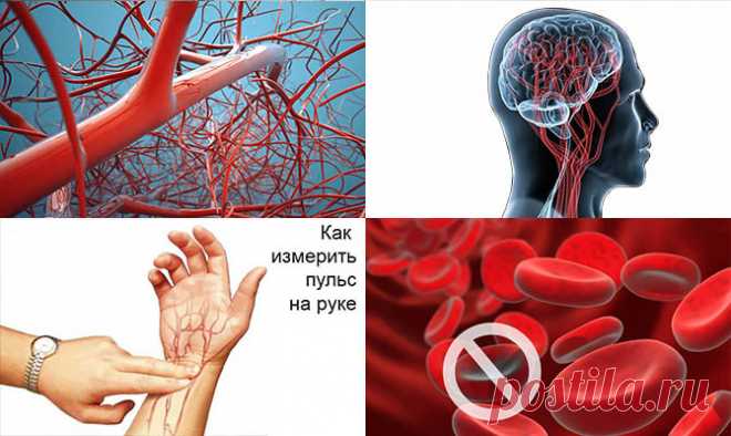 Интересные факты о крови человека, а так же видео | LivePosts — последние новости, полезные статьи, обзоры
