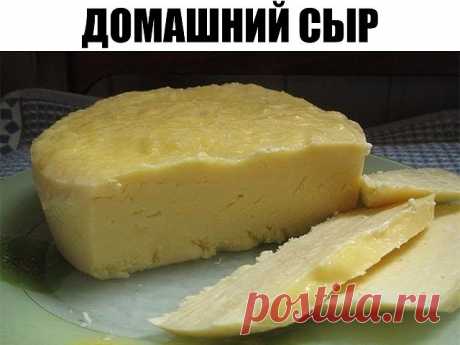 Домашний сыр — пальчики оближите!