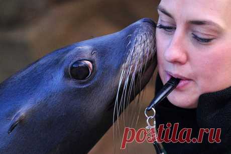 &gt;&gt; Животные в фотографиях | ФОТО НОВОСТИ
