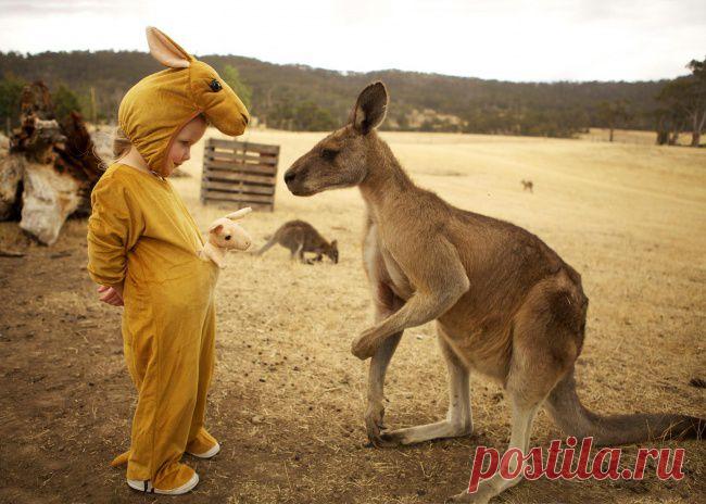 Больше, чем фото