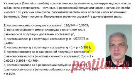 Задачи на ЗХВ мои дети вроде уже решают, но упорно отказываются их оформлять. Разбор про это.

Я отправил ролик коллегам, и общий ответ был "ошибок нет, но слишком занудно; не могут на ЕГЭ так докапываться до каждого слова". На мой взгляд это спорное утверждение, проголосуйте, пожалуйста, в следующем посте.