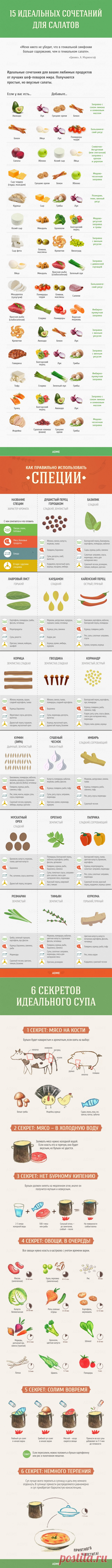 Гид по кухне и готовке