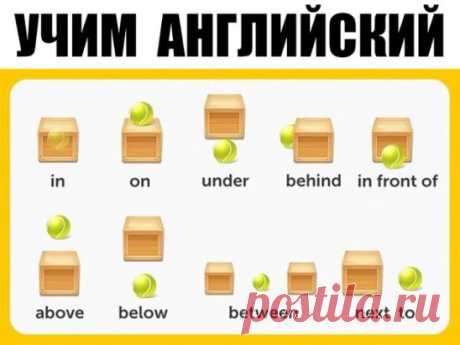 УЧИМ  АНГЛИЙСКИЙ
300 первых слов. 24 смысловые группы.
please (плиз) - пожалуйста, прошу. sorry (сори) - извините
you are welcome (ю а вэлкам) - пожалуйста, не за что
hello (хэллоу) - здравствуйте. hi (хай) - привет
goodbye (гудбай) - до свидания, пока. see you (cи ю) - увидимся
yes (да) - да. no (ноу) - нет. not (нот) - не
this (зис) - этот. that (зэт) – тот
name (нэйм) - имя. address (эдрэс) - адрес
phone number (фоун намбэр) - номер. age (эйдж) - возраст
married (мэррид) - женатый, замужня