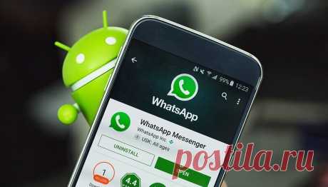 10 секретных трюков в WhatsApp, о которых вы могли не знать. Часть 2 | prodevice.net - сайт о девайсах и гаджетах | Яндекс Дзен