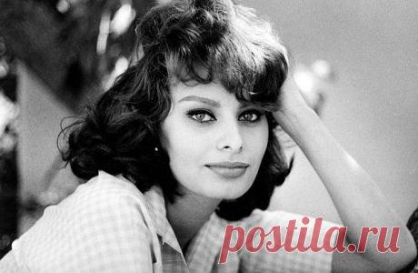 Софи Лорен.