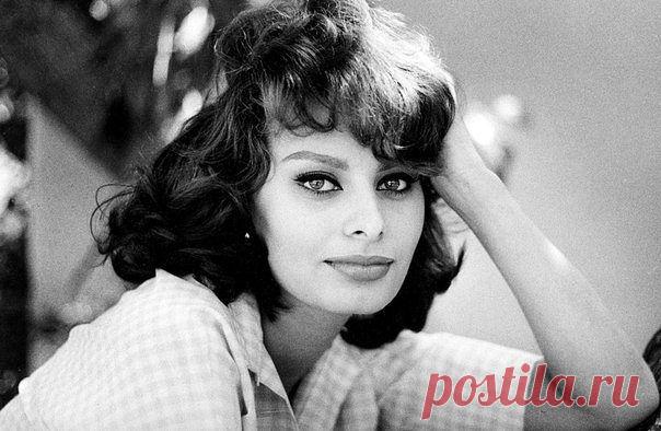 Софи Лорен.