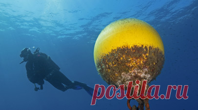 Турция, Румыния и Болгария подпишут план по обезвреживанию мин в Чёрном море. Турция, Румыния и Болгария 11 января подпишут в Стамбуле план по обезвреживанию мин в Чёрном море. Читать далее