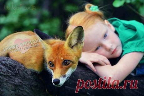 Фотографии на стене сообщества | 19 484 фотографии