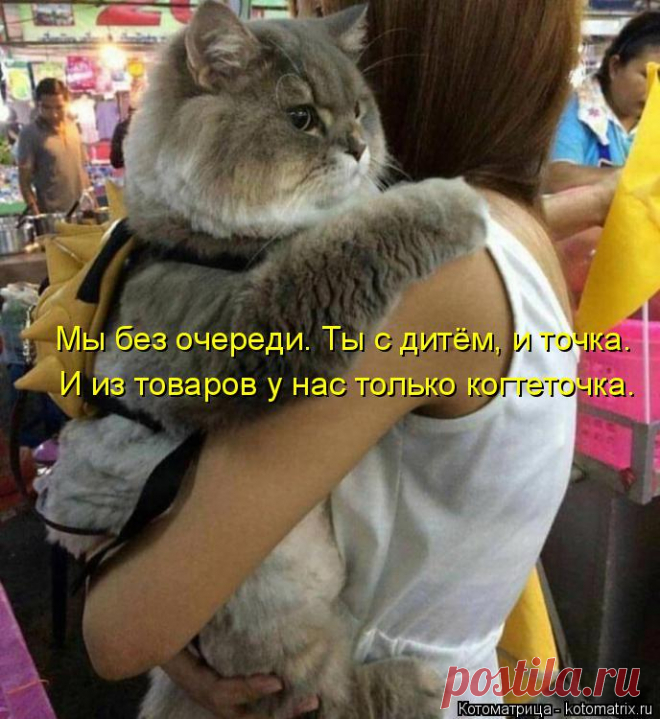 Котоматрица: Случайные котоматрицы