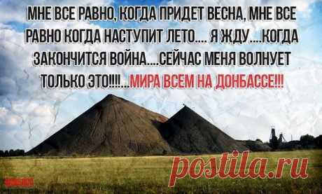 Светлана Балог