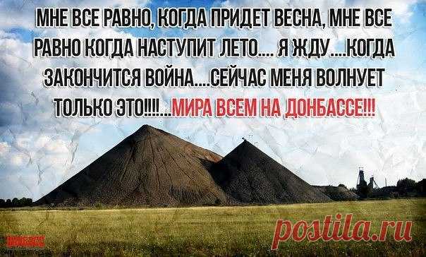 Светлана Балог