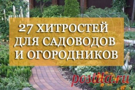 ПРОСТЫЕ ХИТРОСТИ ДЛЯ САДА И ДАЧИ