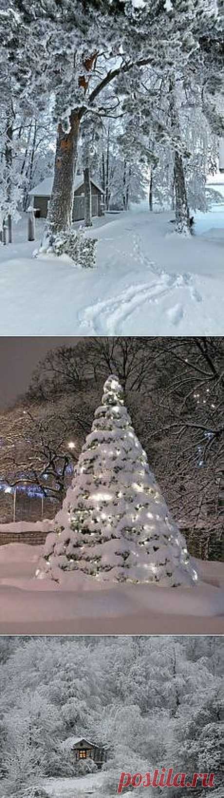 Pinterest - Зима!