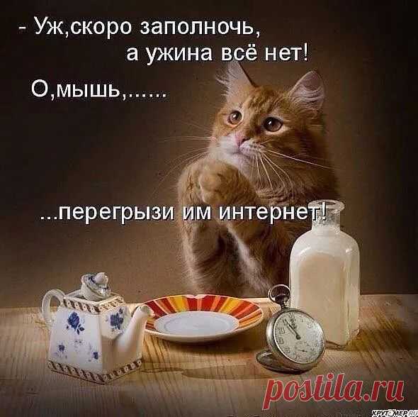 А вот маленьких учить пакостям не хорошо! :)