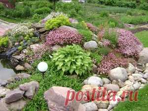 Как сделать альпийскую горку своими руками: подбор растений и камней