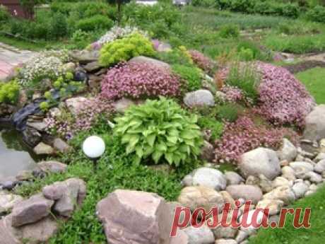 Как сделать альпийскую горку своими руками: подбор растений и камней