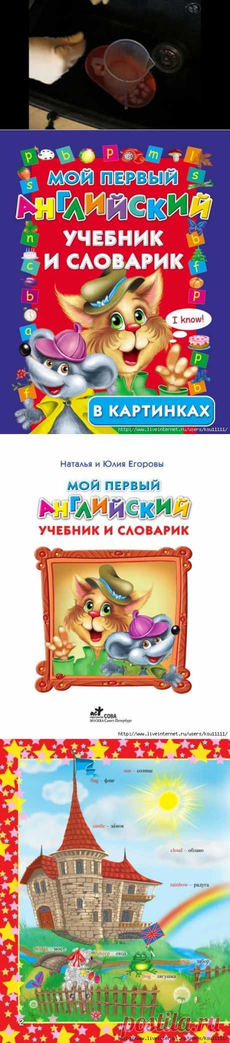 Мой первый Английский учебник и словарик в картинках