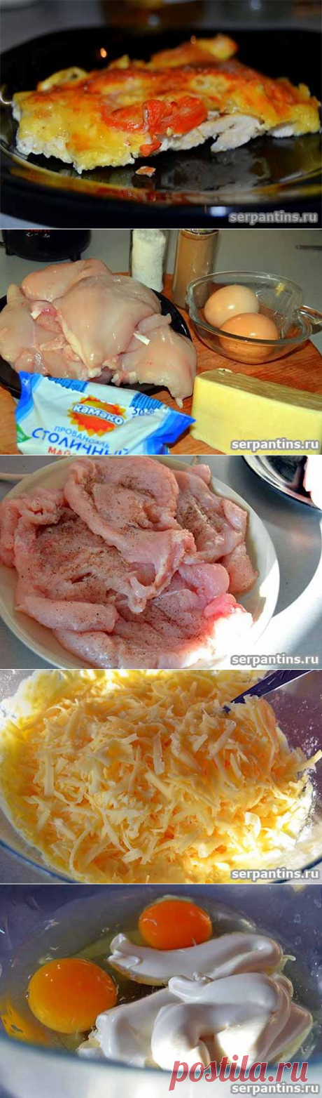 Куриное филе в сырной корочке - serpantins.ru