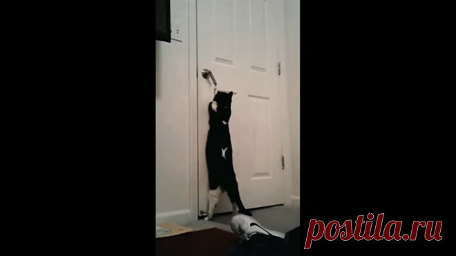 Открывай... Я пришел...