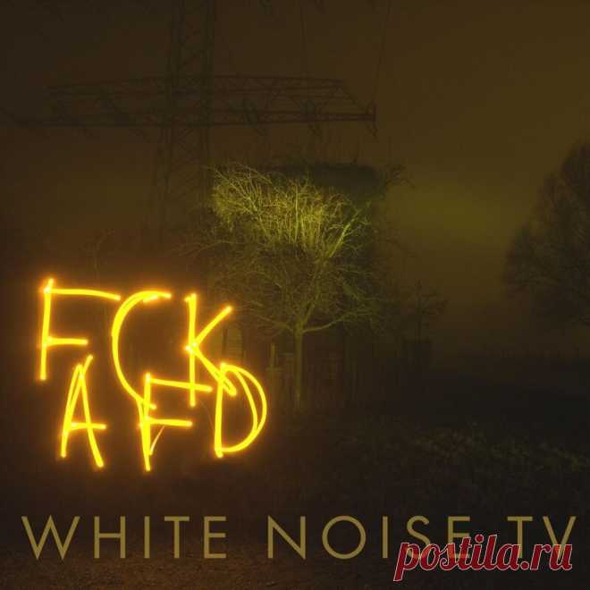 White Noise TV - Fear Can't Kill All Future Dreams (Single) (2025) 320kbps / FLAC