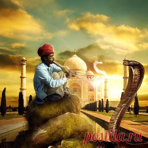 Фотоманипуляция «Заклинатель змей»