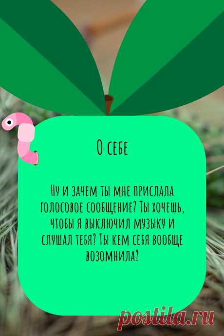 Цитата про «Себя» — Ну и зачем ты мне прислала голосовое сообщение?…