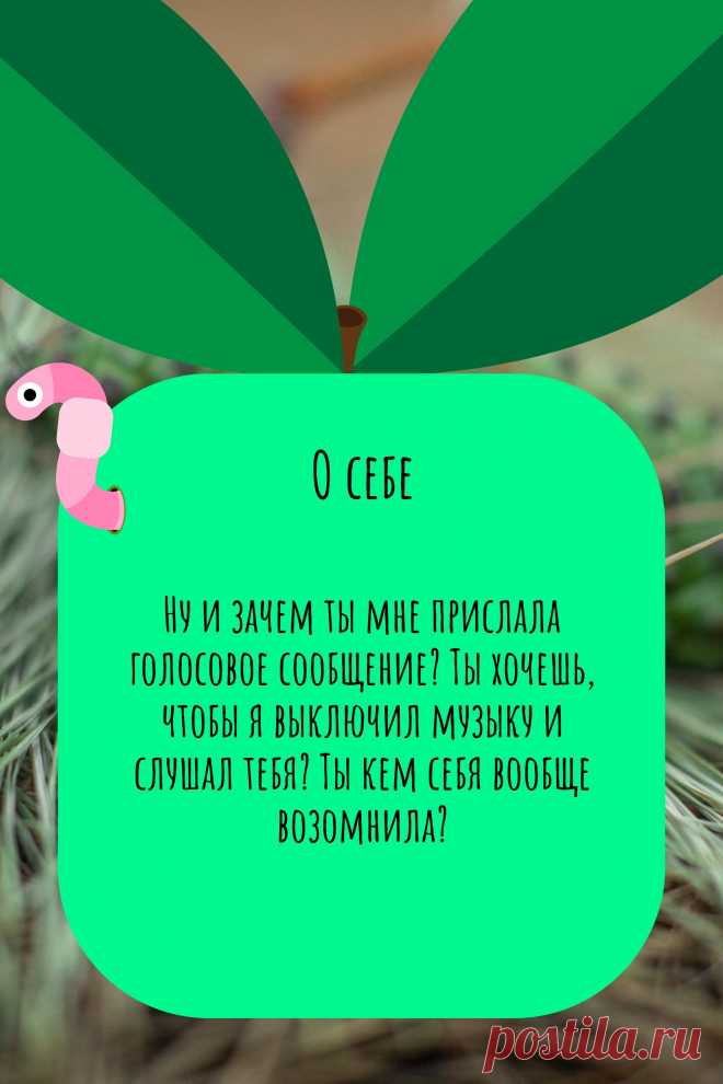 Цитата про «Себя» — Ну и зачем ты мне прислала голосовое сообщение?…