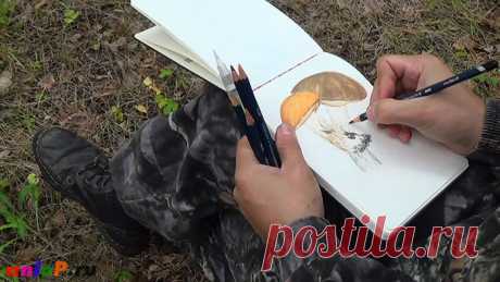 акварельные карандаши — Уроки рисования карандашами и пастелью