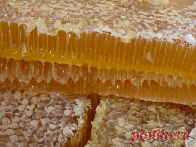 Медовая диета