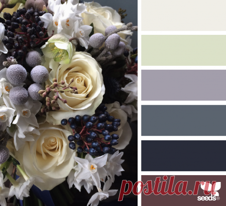 design seeds | for all who ♥ color