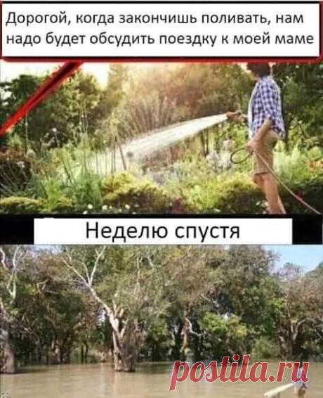 Таша Небесная