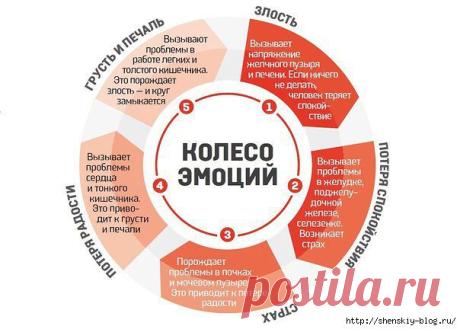 От чего возникают болезни по мнению китайцев! | ЖЕНСКИЙ МИР