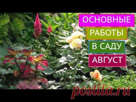 НЕ ЗАБУДЬТЕ СДЕЛАТЬ ЭТО В СВОЕМ САДУ В АВГУСТЕ!