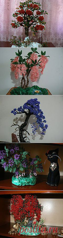 Одноклассники