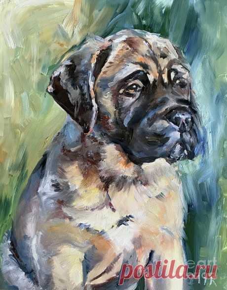 Bull Mastiff by Maria Reichert Bull Mastiff Painting by Maria Reichert