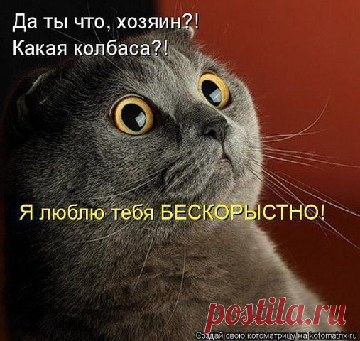 ЭТИ ГЛАЗА НЕ МОГУТ  ЛГАТЬ,,,,, НАВЕРНО,,,,