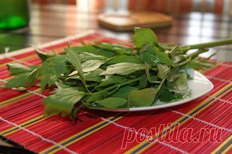 Приворотное блюдо:  и любисток - Рецепты с фото. Готовим дома