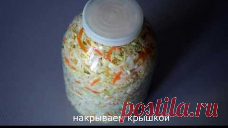 Квашеная капуста хрустящая очень простой рецепт | Щи да Каша | Дзен