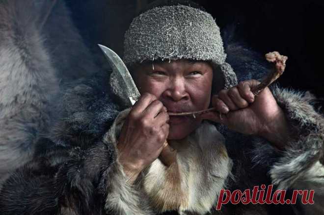 Письмо «ссылка Camelot_Club : Почему в Российской империи никому и в голову не приходило смеяться над чукчами / (08:16 16-03-2019) [5538518/451543331]» — Camelot_Club — Яндекс.Почта