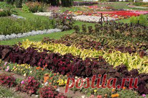 Прогулка по юрмальскому Эдему