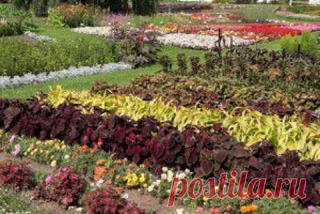 Прогулка по юрмальскому Эдему