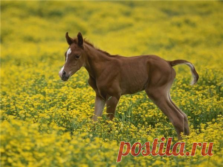 Фотографии на стене сообщества | 32 815 фотографий